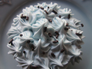 chocolate-buttermilk-cupcakes- 1