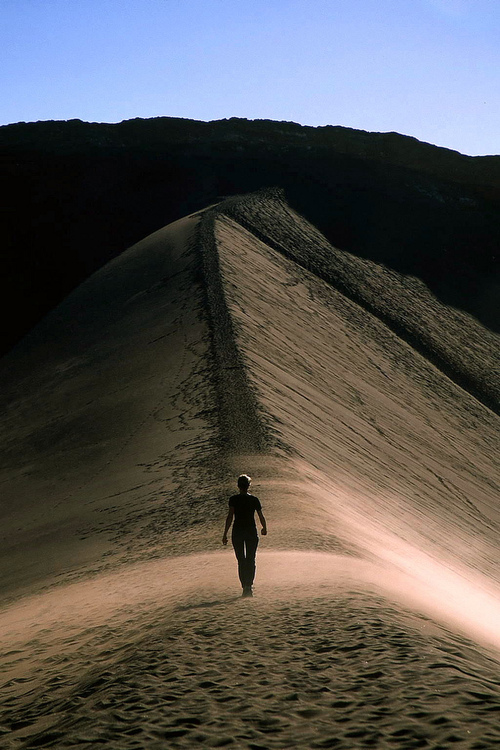 photograph,sand,dune,desert,path,solitude,