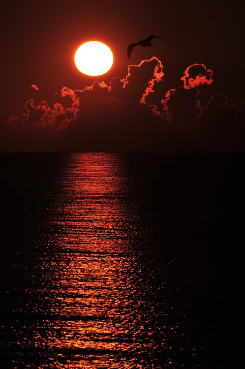 sunrise over black sea