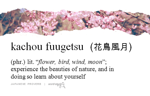 kacho-fuugetsu-japanese-flower-word