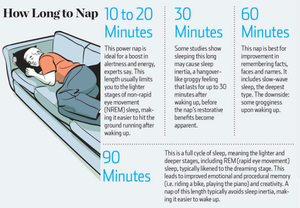 napping,sleeping,chart