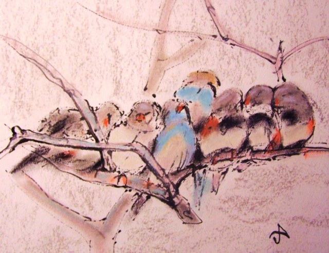 Sleeping-Birds-soft-pastel-on-paper-art-by-ayse-juaneda