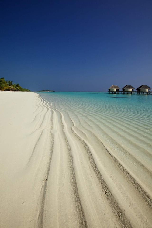 Maldives,beach,tropics,vacation,holiday,sun,photography, sand