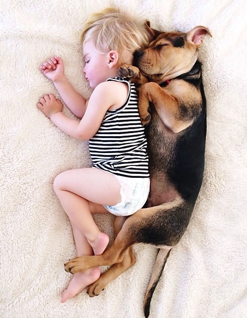 baby-dog-cute-sleep