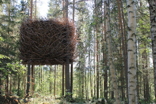 Tree hotel in Sweden