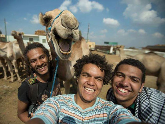funny-camel-selfie-friends