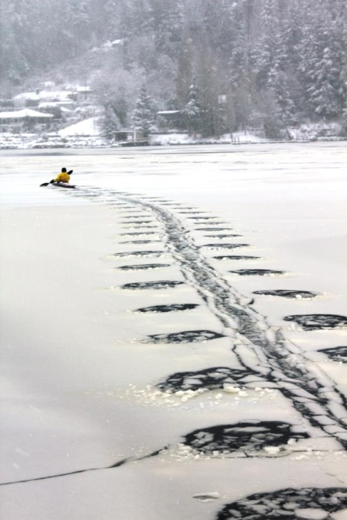 kayak-winter