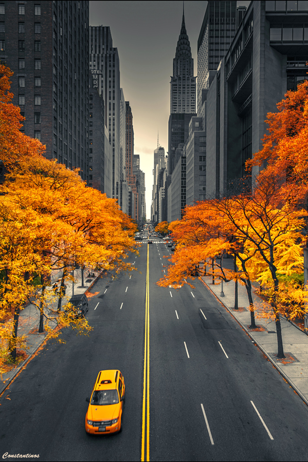 new-york-city-autum-fall