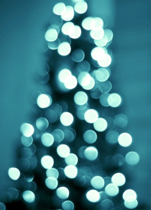 photography-tree-blue-lights