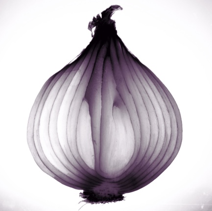 bermuda-onion