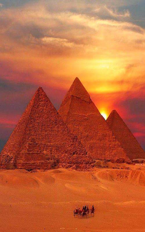 camel-wednesday-hump-day-pyramids