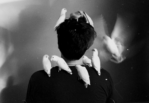 birds-shoulder-mystery-happiness