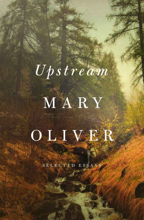 mary-oliver-upstream