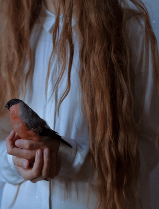 rainy-evenings-red-hair-bird-in-hand