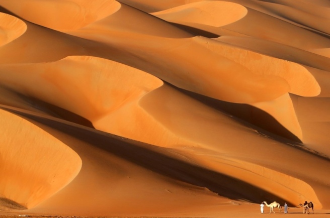 camel-2-liwa-desert-sand-dunes-abu-dhabi