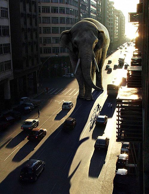 elephant-city