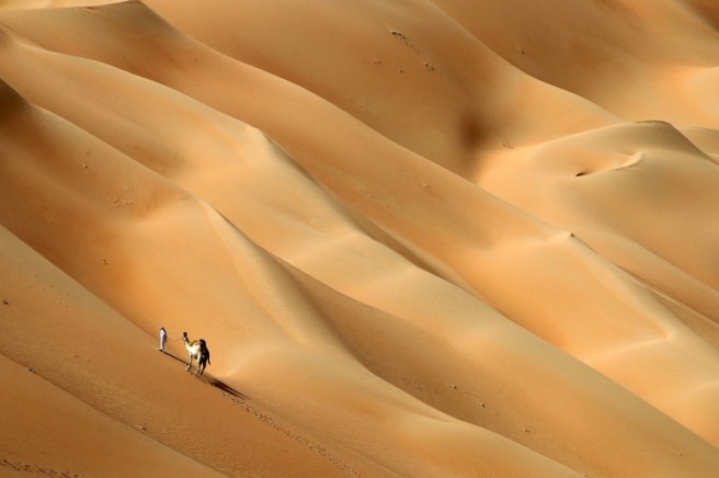 camel-hameen-desert-emirati